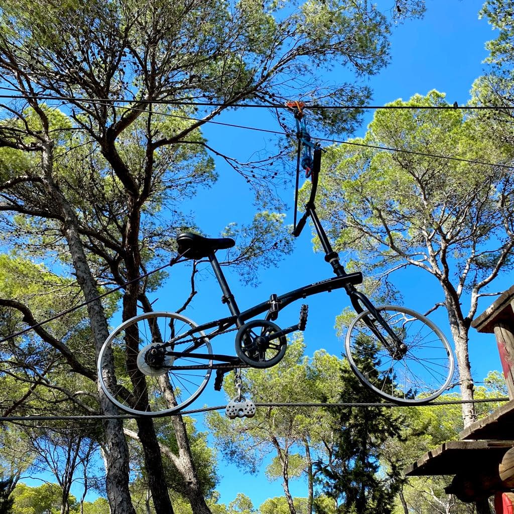 Acrobosc Great Activity Families In Ibiza Acrobosc activity for families in Ibiza