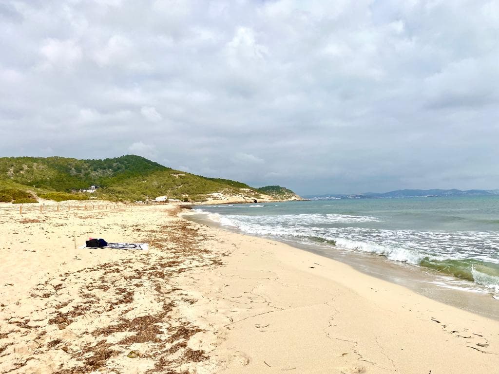 Winter Beach Wild Things To Do Ibiza Winter beach scene in Ibiza