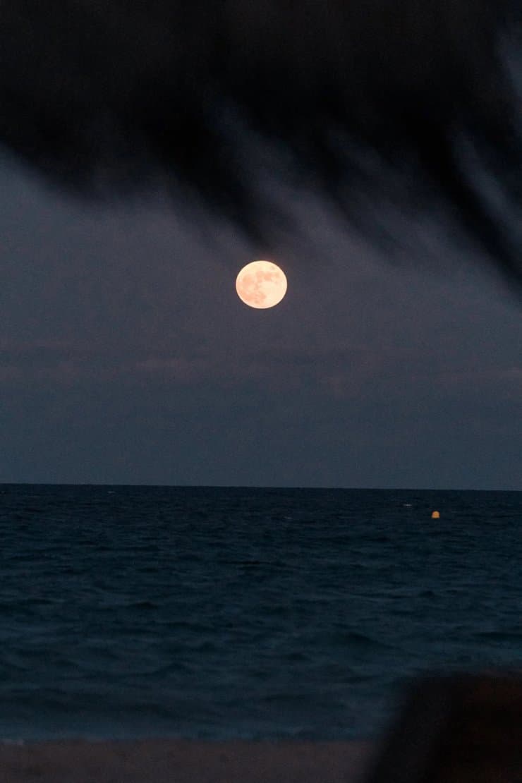 Moonlit Dinners