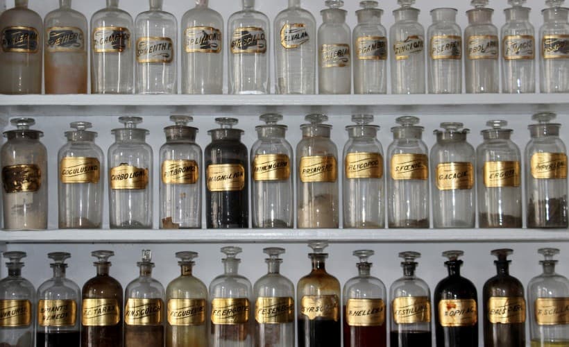 The Poisonous Past: a talk with LC Winter