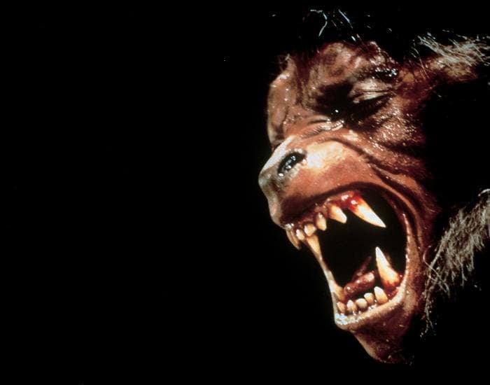An American Werewolf in London