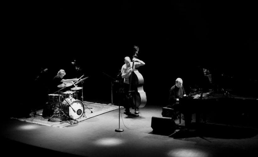 The Necks