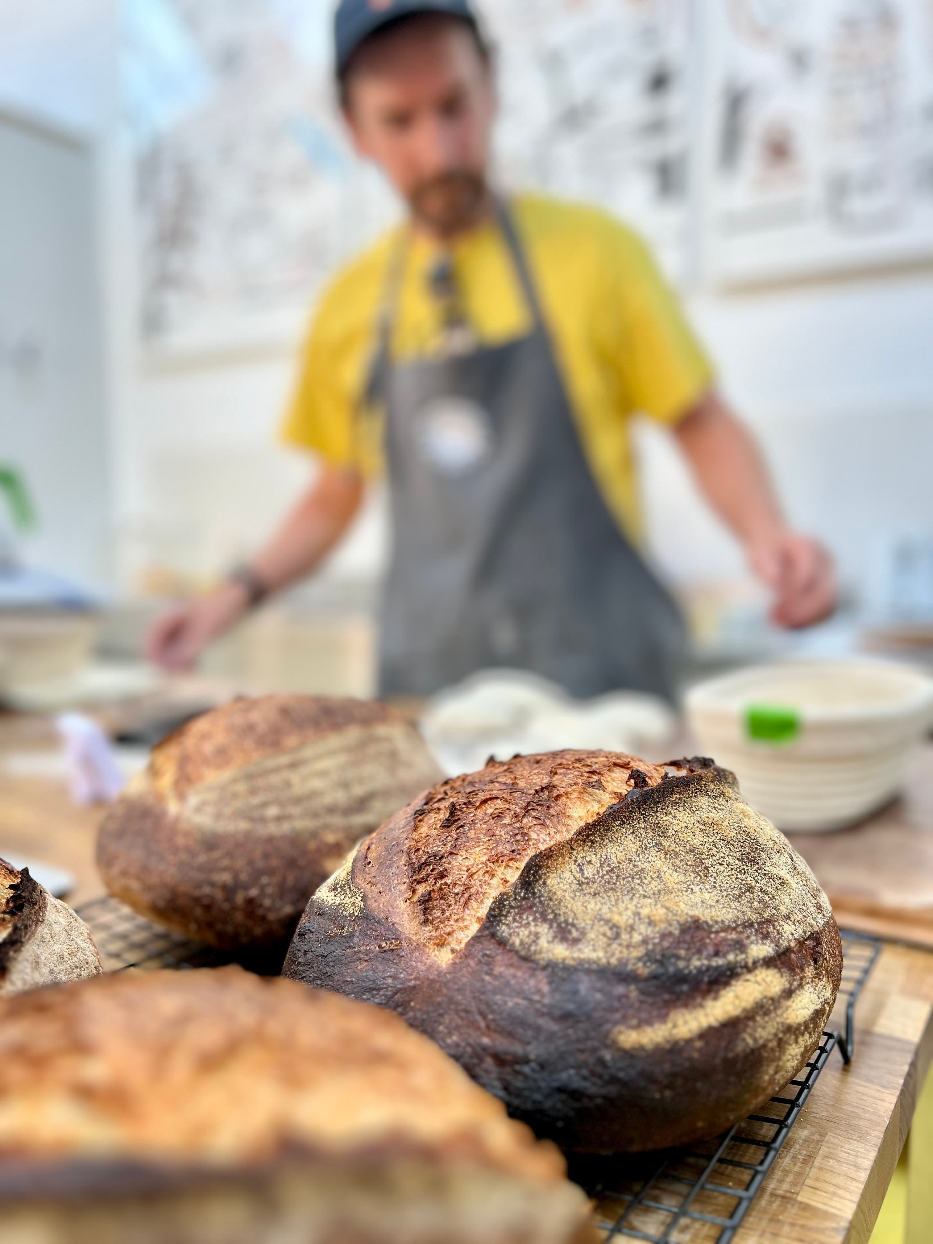 Introduction to Sourdough Bread Making with I Like It Bakery