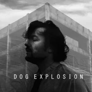 Dog Explosion