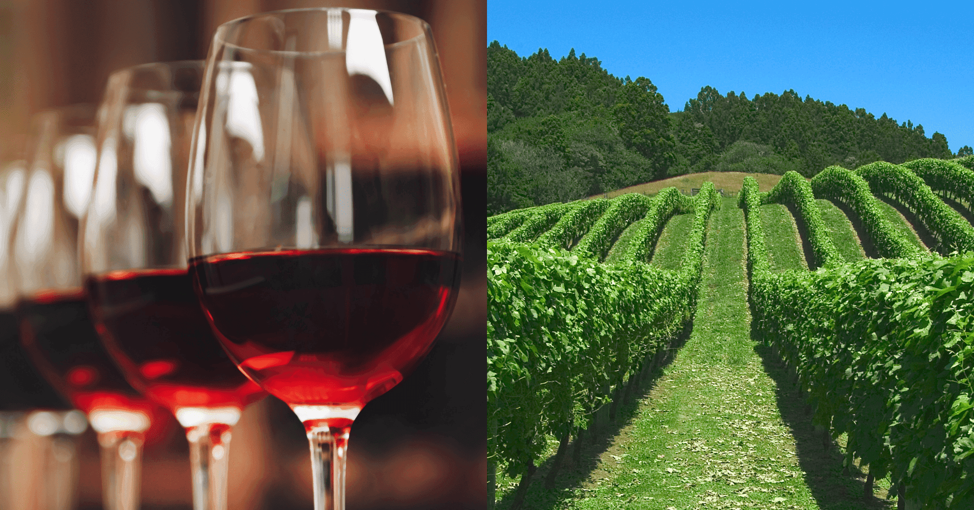 Wine Tasting & 3 Course Dinner at Hart's