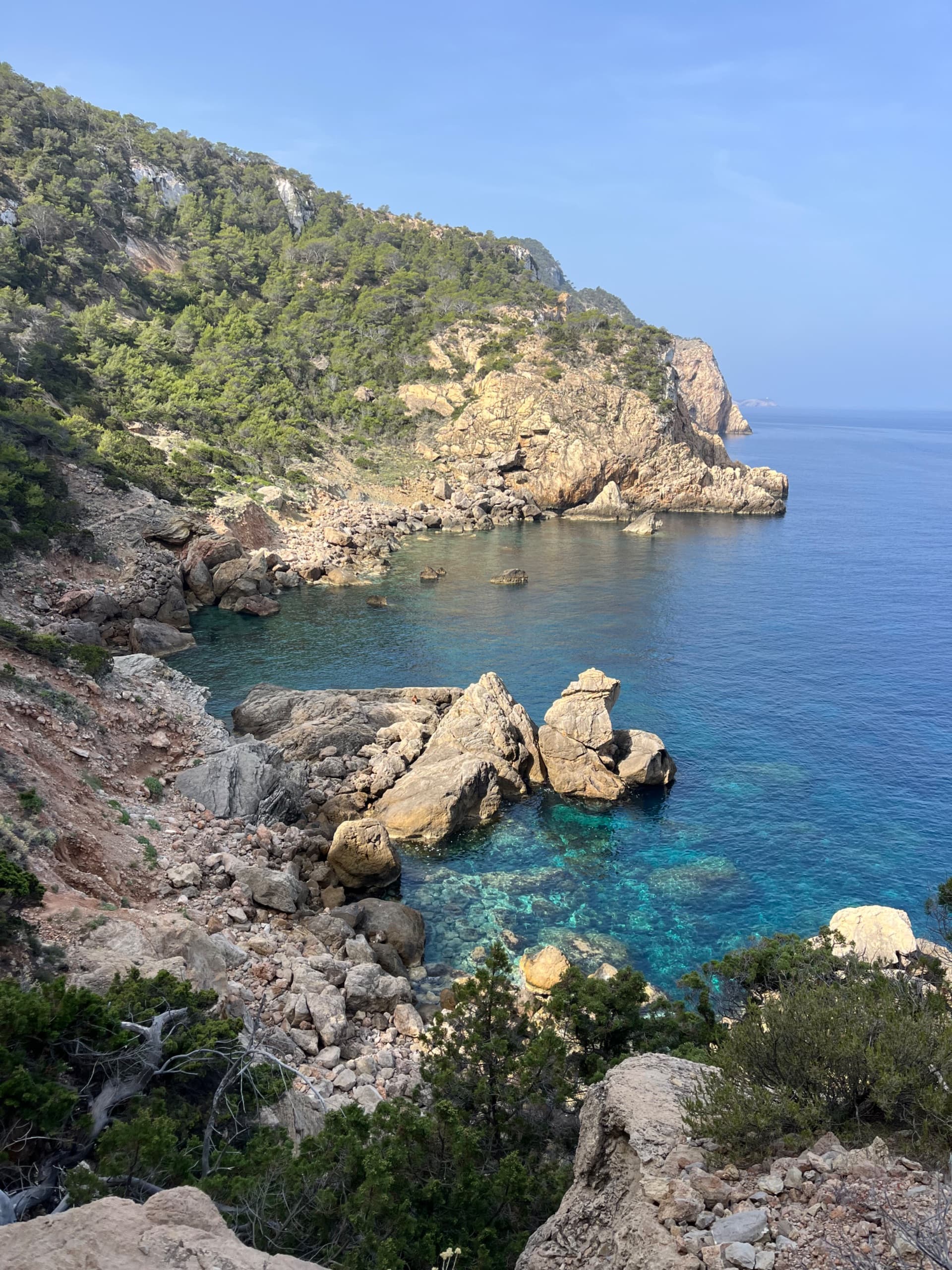 Wednesday Nature Walk