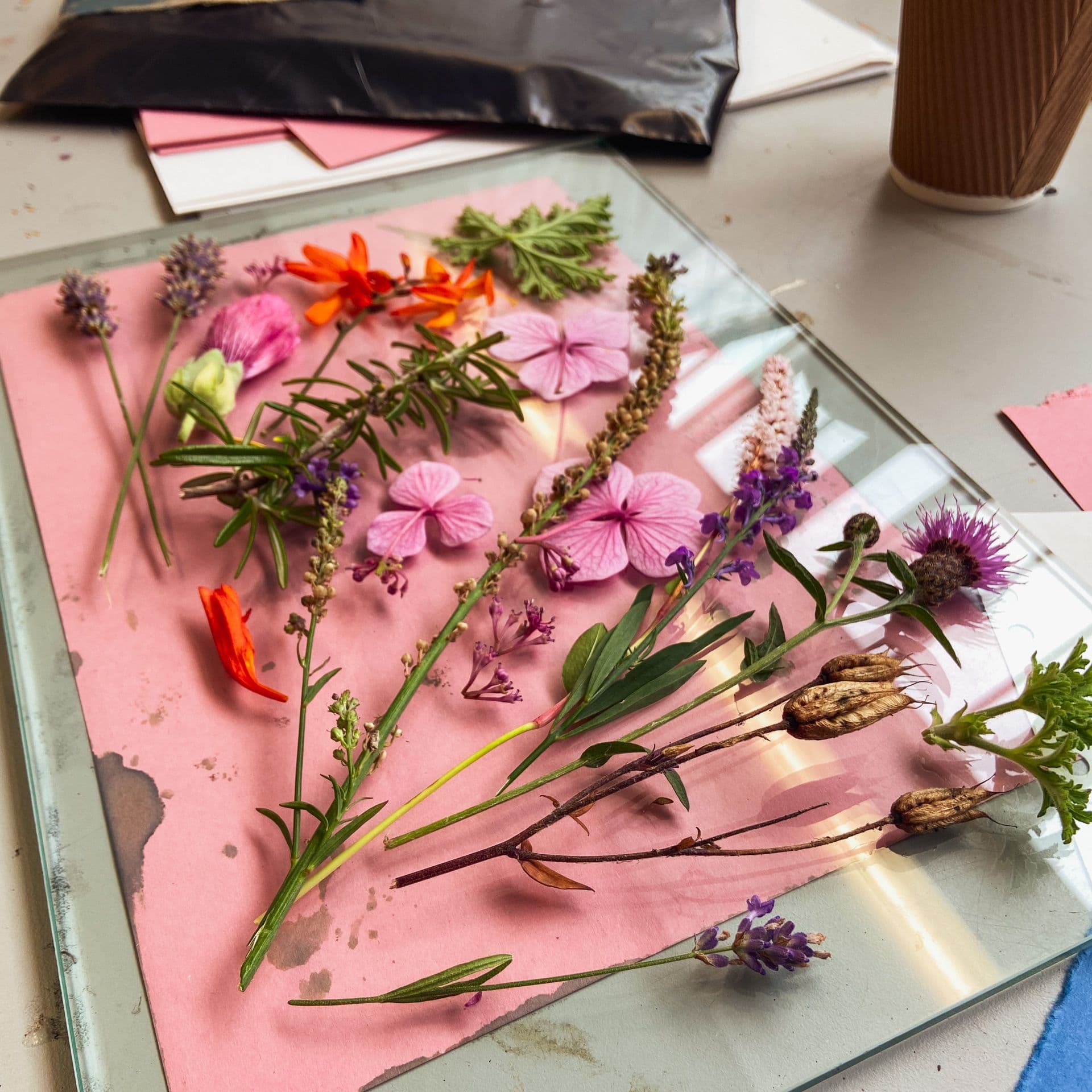 Spring Botanical Cyanotype