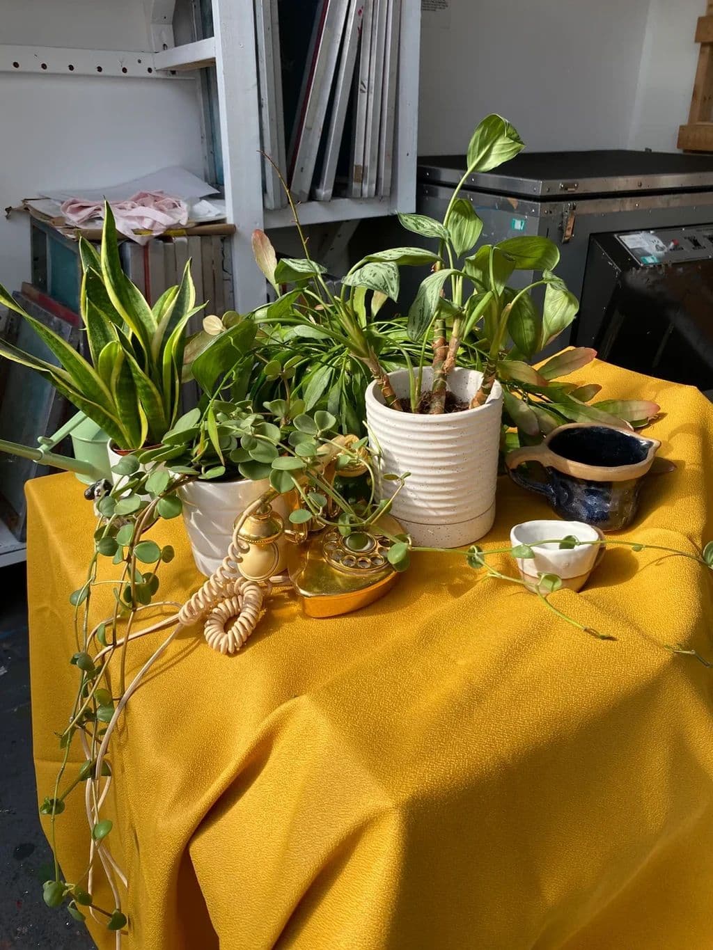 Still Life Drawing & Screen Printing