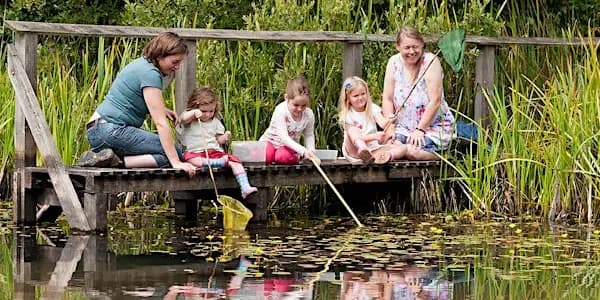 Pond Dipping: Wild Workshop