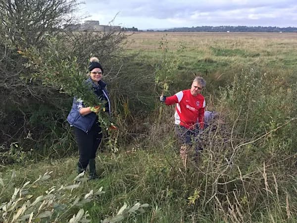 Corporate Wild Work Day: Conservation Day at Rye Harbour Nature Reserve