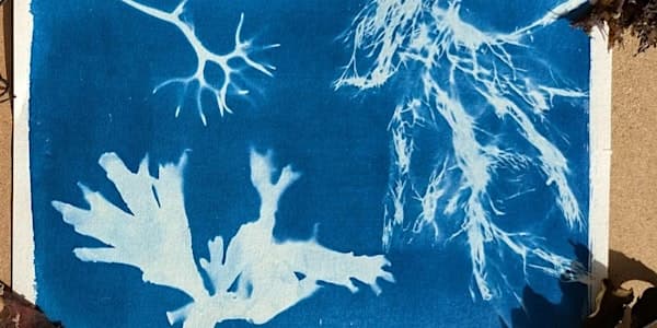 Cyanotype Crafting Workshop