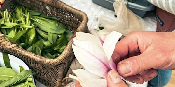 “Spring Flowers and Ferments” Forage at Carswell Farm