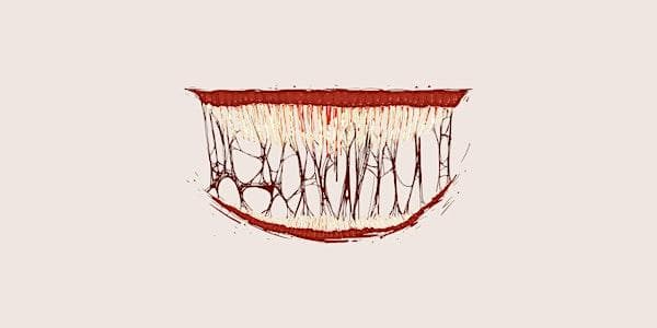 The Psychology of Horror Movies: How horror speaks to the subconscious