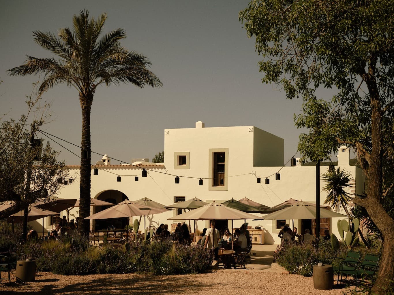 Art Initiatives Benefit Auction at Juntos House
