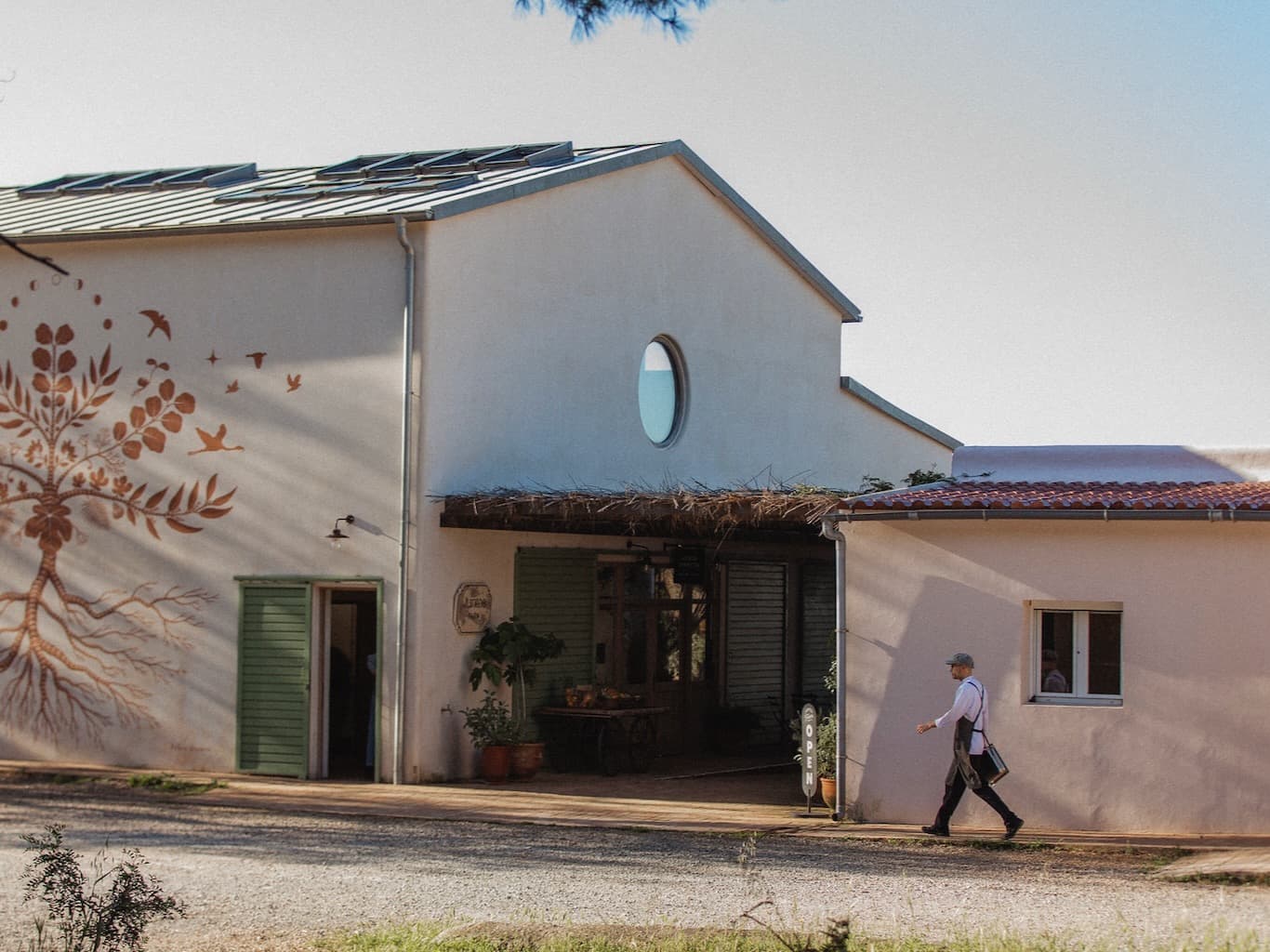 Harvest Celebration: Halloween at Juntos Farm