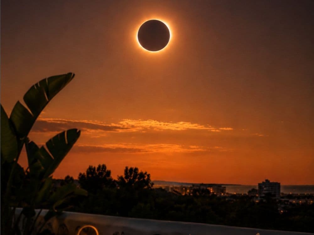Eclipse at Las Mimosas