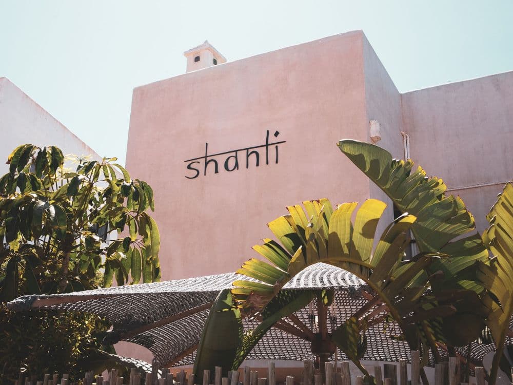 Louie Lion at Shanti