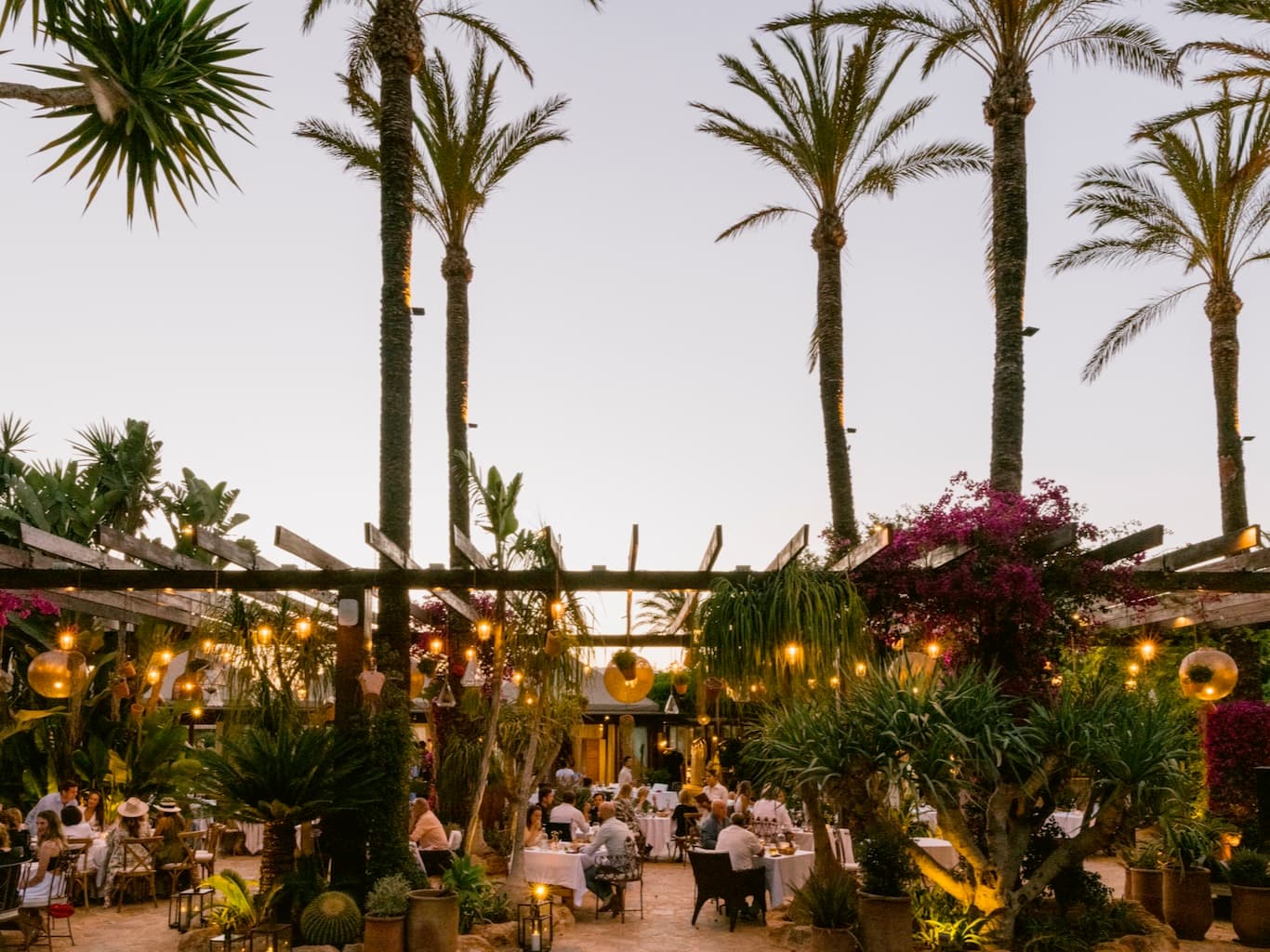 Flamenco Nights at Atzaró Agroturismo Hotel