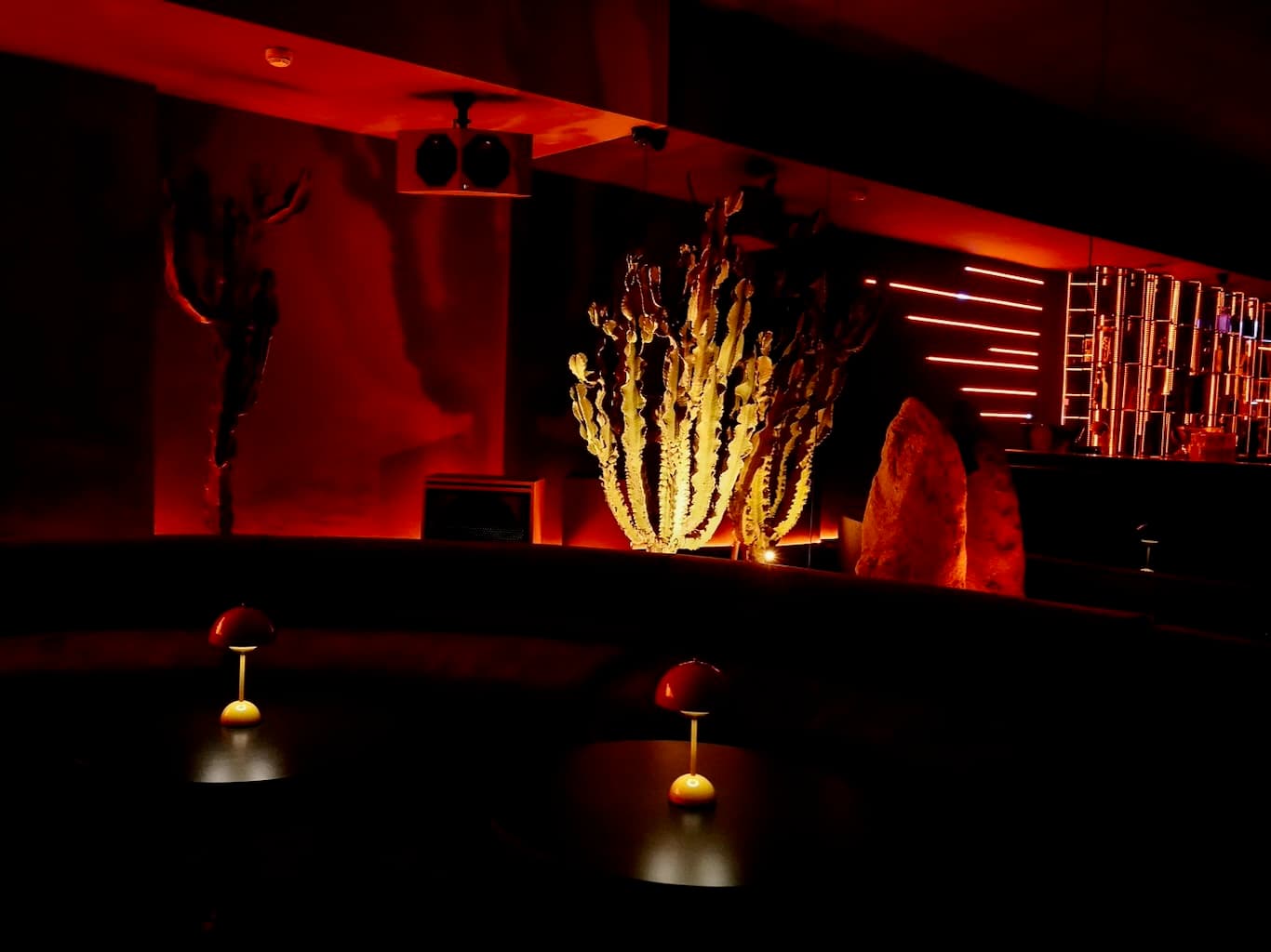 OpenLab x Rotary at Nocturna Ibiza