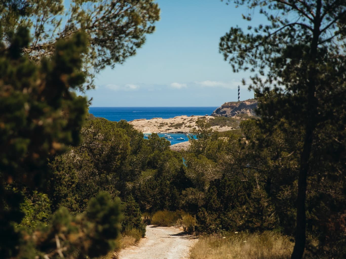 La Cala Tiene Sabor: Live Music at Nômade Temple Ibiza