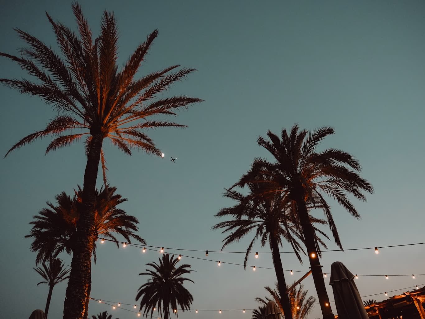 Summer Closing 2026 at Beachouse Ibiza