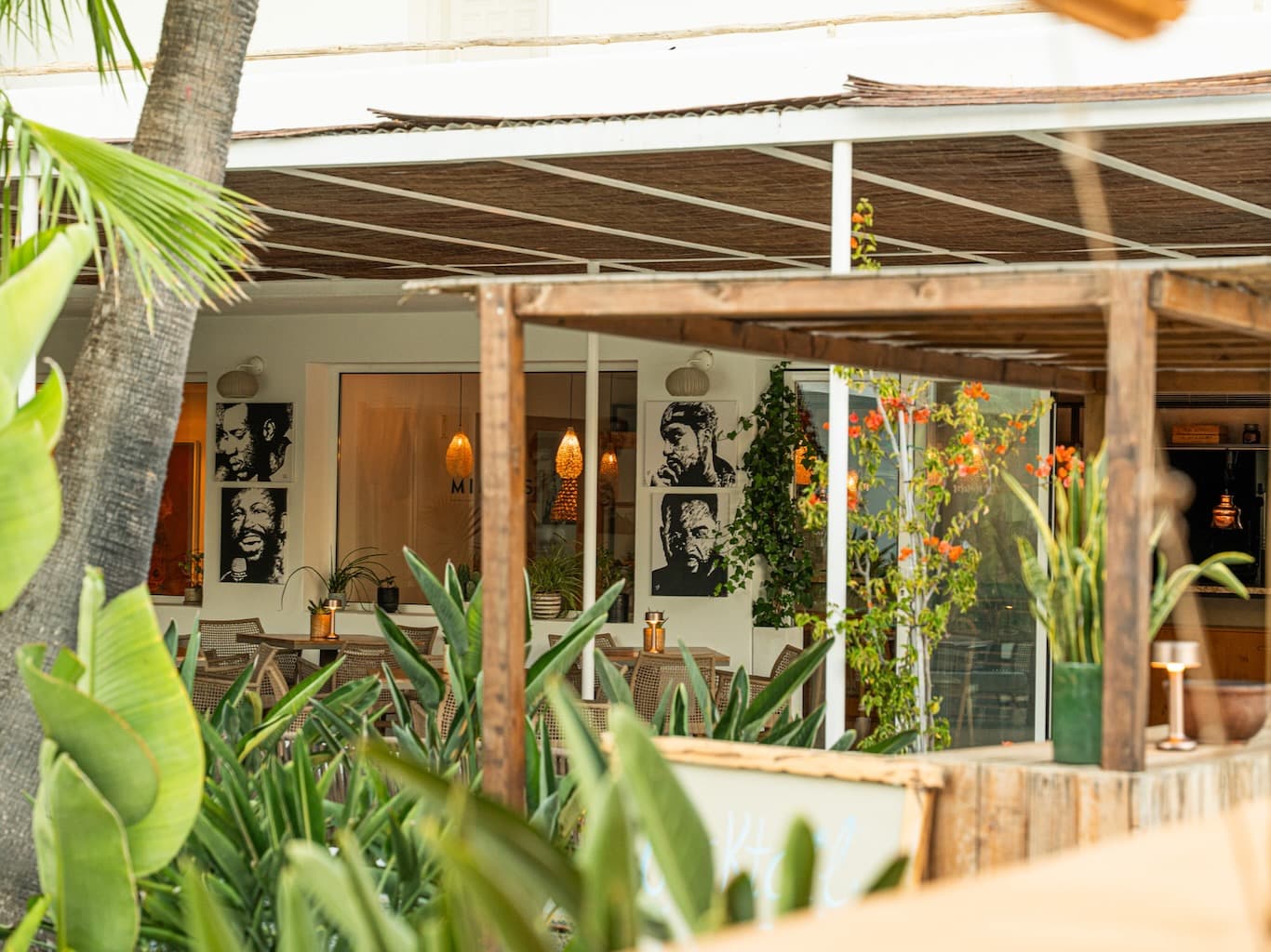 Mambo Moments Exhibition by Davey Brown Opening at Las Mimosas Ibiza