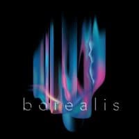 Borealis - Akasha - Las Dalias